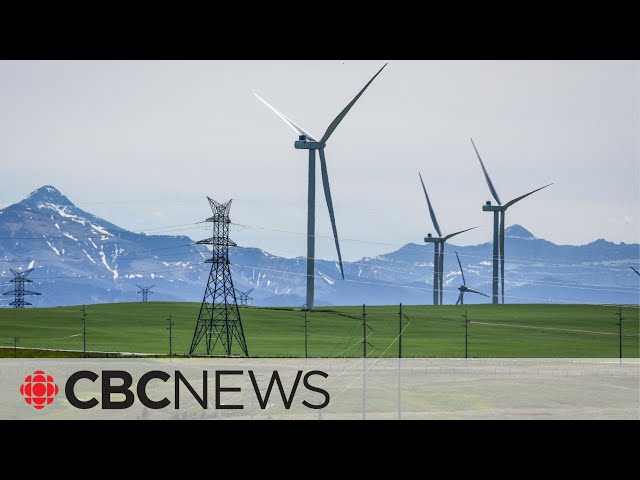 ⁣Doug Ford's government shifts direction on wind power in Ontario