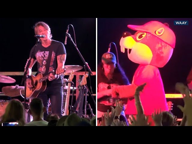 ⁣Keith Urban plays surprise concert at Buc-ee's in Alabama