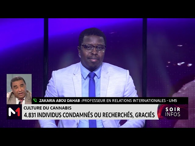 ⁣Culture du cannabis : 4831 individus condamnés ou recherchés, graciés