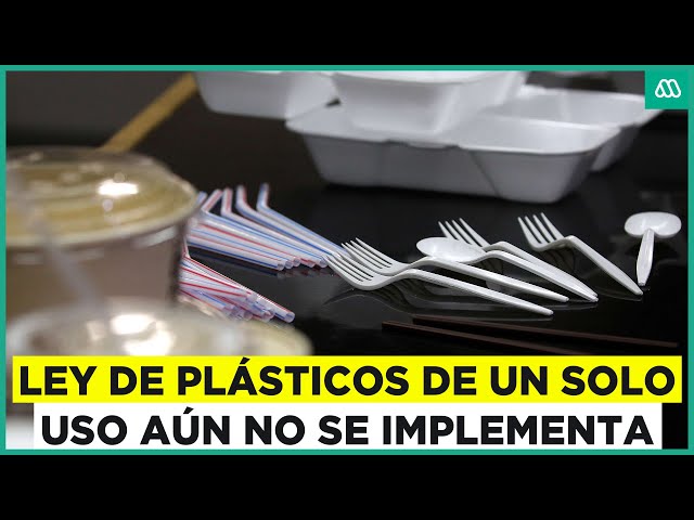 Ley plásticos de un solo uso: ¿Por qué aún no se implementa esta iniciativa?