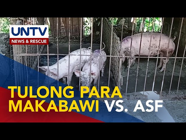 ⁣Ayuda para sa mga apektado ng ASF sa San Jose, Occidental Mindoro, ipinamahagi ng LGU