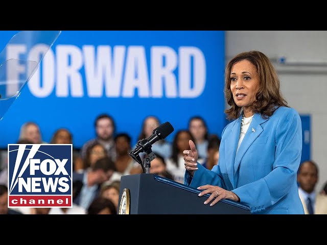 ⁣Harris is trying to ‘hide’ her ‘radical’ record: Tulsi Gabbard