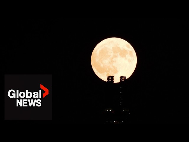 ⁣Moon gazing: The first supermoon of the year lights up the night sky