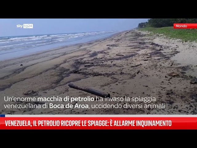 ⁣Venezuela, petrolio ricopre spiagge della costa caraibica