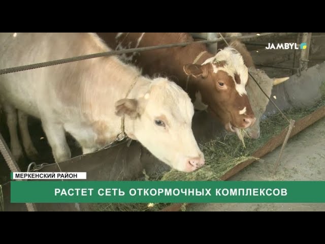 ⁣Растет сеть откормочных комплексов