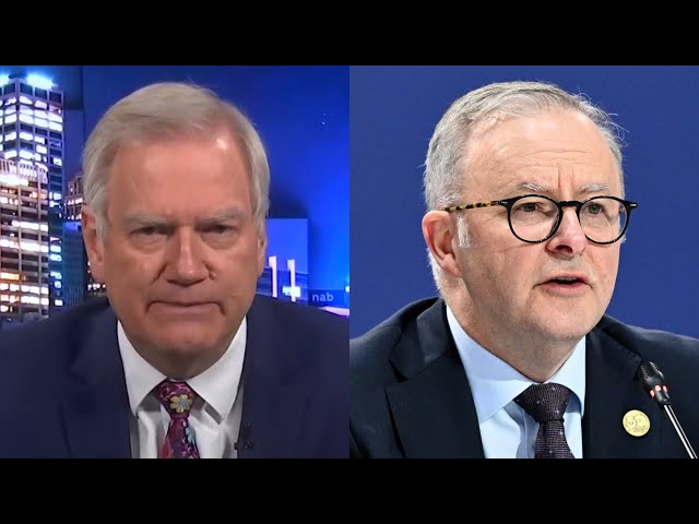 ‘Disastrous political strategy’: Andrew Bolt examines Labor government’s visa scandal