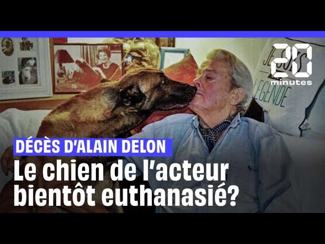 ⁣Mort d'Alain Delon : Le chien de l'acteur bientôt euthanasié ?