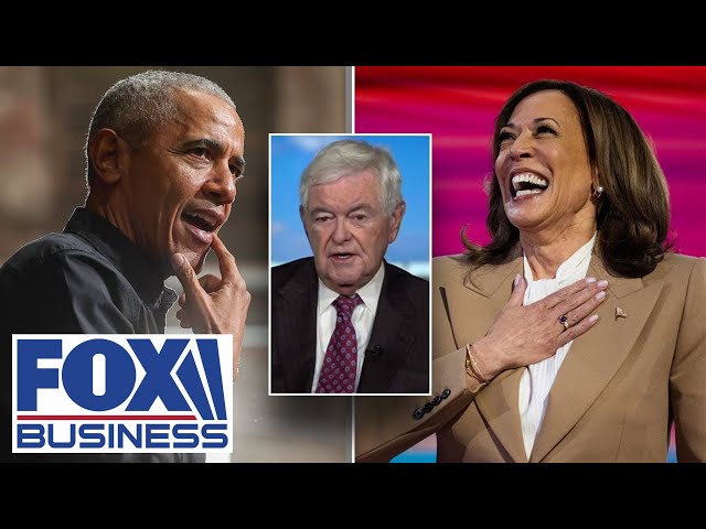 ⁣Gingrich: It’d be ‘pretty dumb’ for Kamala not to associate with Obama