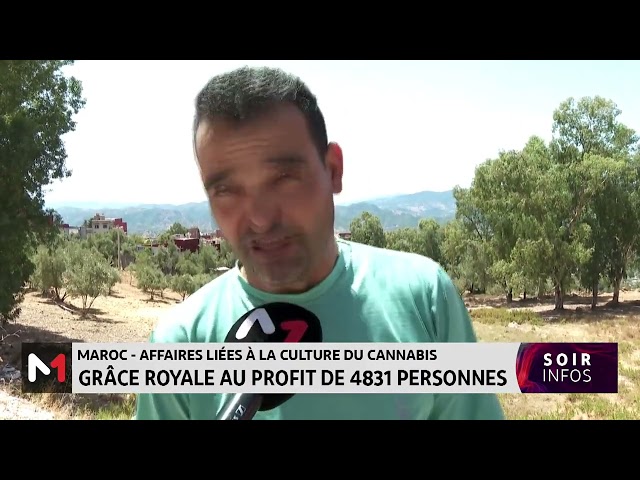 ⁣Maroc-affaires liées à la culture du cannabis : grâce royale au profit de 4831 personnes