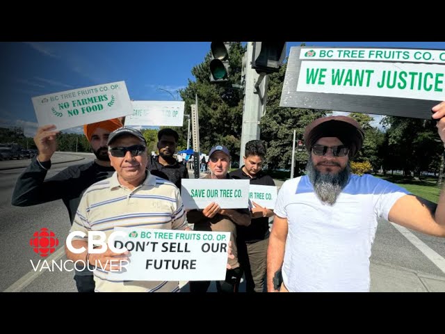 ⁣Growers call for government intervention amid B.C. Tree Fruits closure