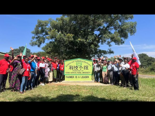 ⁣GLOBALink | China-trained African agronomical talents help facilitate food security back home