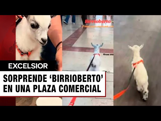 ⁣Joven presume a ‘Birrioberto’ en una plaza comercial en Chihuahua y se vuelve viral