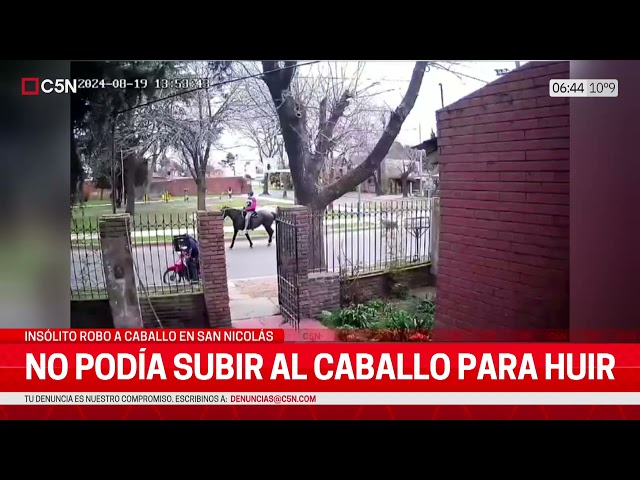 ⁣ROBO a CABALLO en SAN NICOLÁS: EL DELINCUENTE FRENÓ al ANIMAL, ROBO a un DELIVERY y HUYÓ la GALOPE