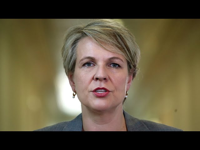 Tanya Plibersek ‘sparks outrage’ with gold mine move