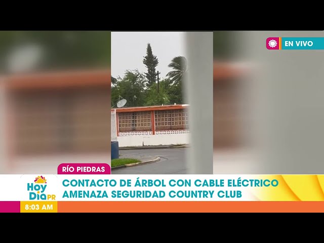 ⁣Vecinos de Río Piedras temen tragedia por contacto de árbol con tendido eléctrico