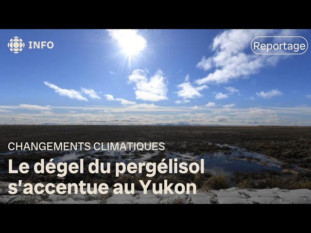 ⁣Fonte du pergélisol : le Yukon subit les conséquences des changements climatiques