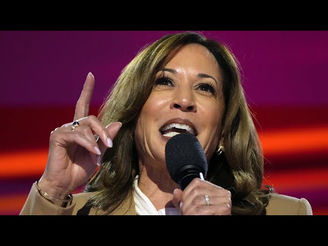 Kamala Harris delivers 'gimmicky' economic policy speech