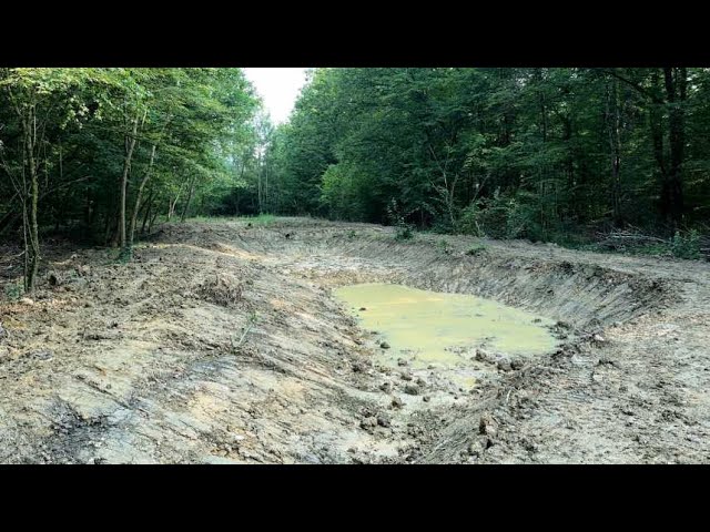 ⁣Des mares pour protéger la biodiversité et éviter les inondations