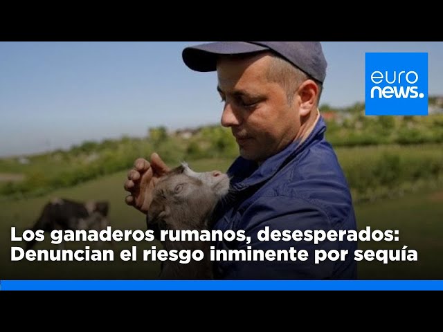 ⁣Los ganaderos rumanos denuncian riesgo inminente por sequía