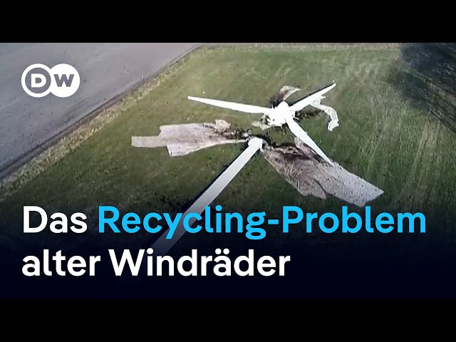 ⁣Warum Windräder nicht nur klimafreundlich sind | DW Business