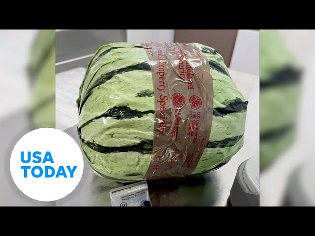 ⁣4,500 pounds of meth found disguised as watermelon shipment at border | USA TODAY