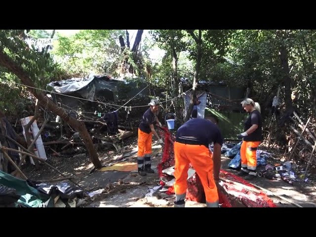 ⁣Monte Mario, dopo l'incendio comincia bonifica della pineta