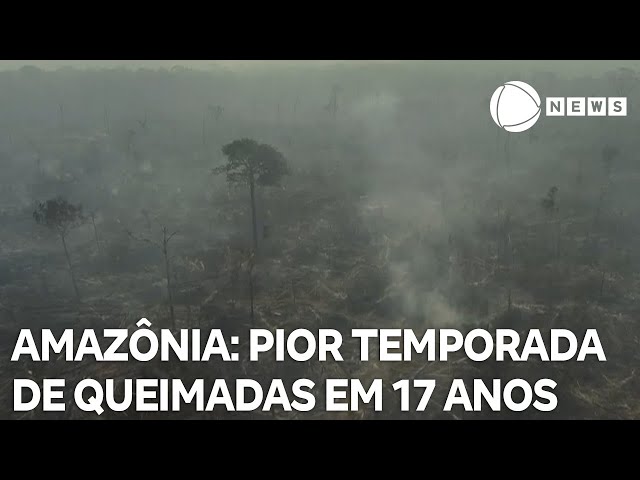 Amazônia enfrenta pior temporada de queimadas em 17 anos