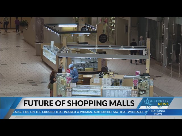 ⁣Shopping malls evolve in an attempt to stay alive