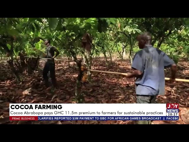 ⁣Prime Business (21-8-24) | Cocoa Abrabopa pay Ghc11.5m premium to farmers for sustainable practices