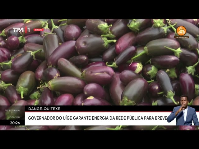 ⁣Feira de produtos Agrícolas junta produtores em Quitexe, Uíge