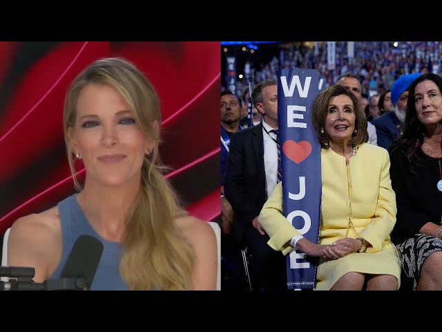 ‘She was the one who stuck the knife’: Megyn Kelly calls out ‘crazy’ Nancy Pelosi’s DNC act