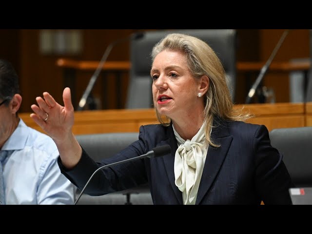 ⁣Labor Senators ‘not prepared’ to have ‘serious debates’: Bridget McKenzie