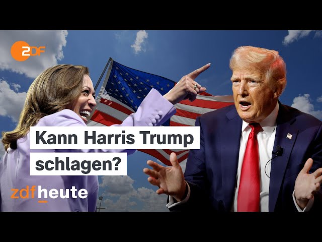 ⁣Harris gegen Trump: Wie gut sind ihre Chancen? Global Talk vom Parteitag der US-Demokraten