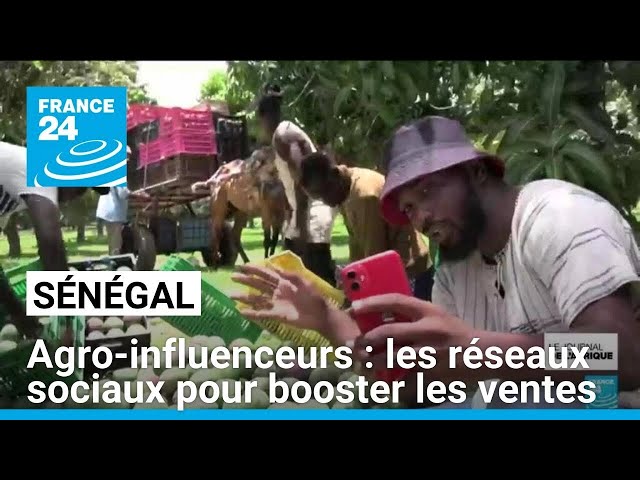 Sénégal : les agro-influenceurs gagnent du terrain • FRANCE 24