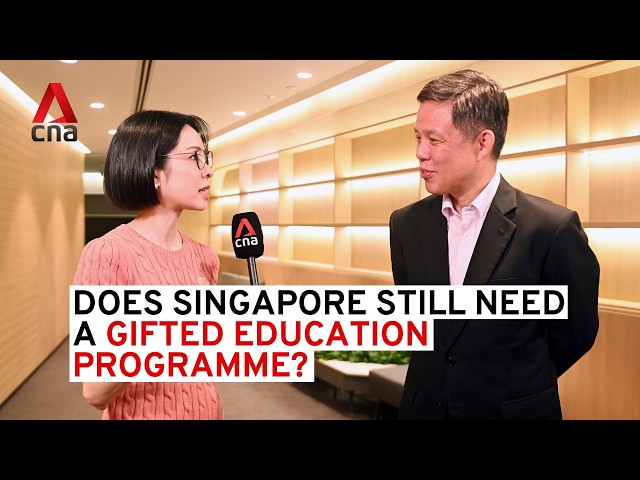 ⁣Chan Chun Sing on the changes to Singapore’s Gifted Education Programme