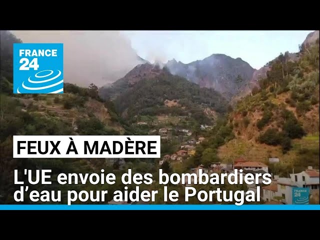 ⁣Feux à Madère : l'UE envoie 2 canadair pour aider le Portugal • FRANCE 24