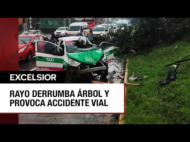 Rayo derriba árbol en Veracruz y ramas impactan a un taxi