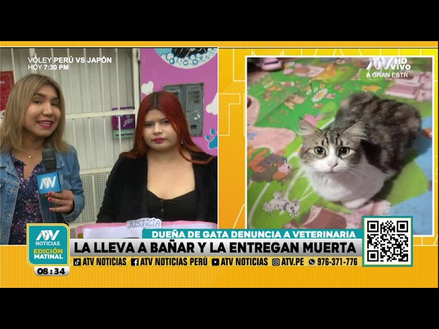 Mujer lleva a su gata para que la bañen en veterinaria y se la entregan muerta