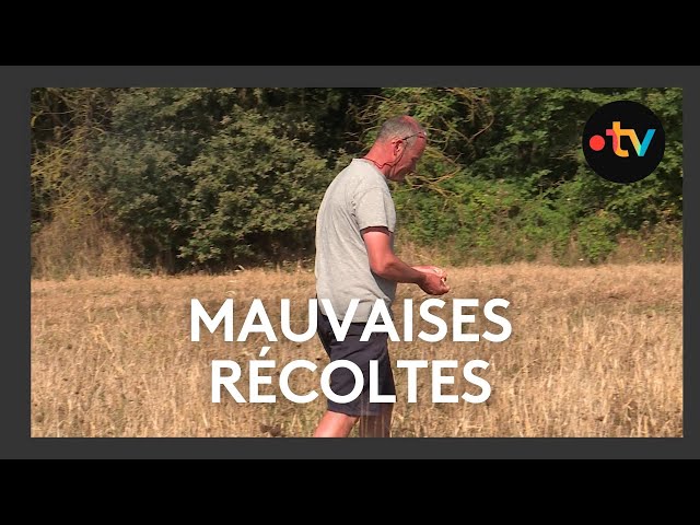 ⁣Mauvaises récoltes dans la Vienne