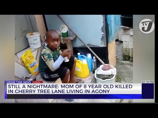 ⁣Still a Nightmare: Mom of 8 year Old Killed in Cherry Tree Lane Living in Agony | TVJ News