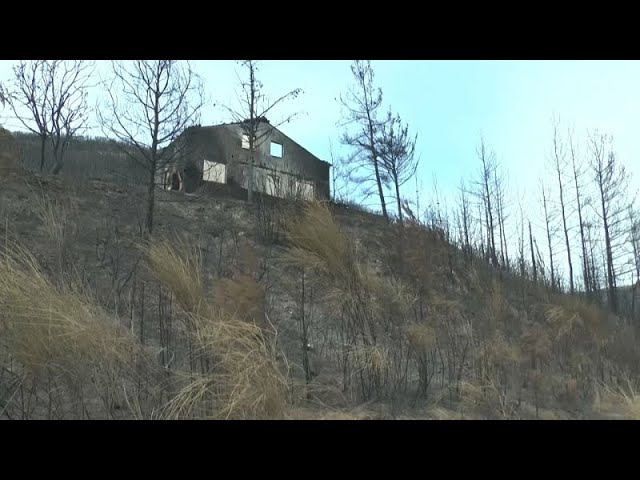 ⁣¿Cómo ha conseguido Portugal reducir el número de incendios en sólo seis años?