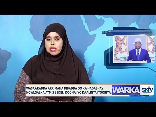 WARKA HABEEN EE SNTV 22.08.2024