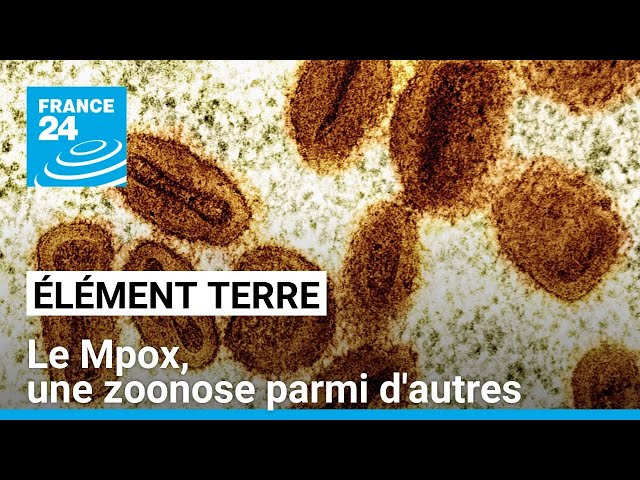 ⁣Les dérèglements de l'environnement conduisent à une augmentation des épidémies d'origine 