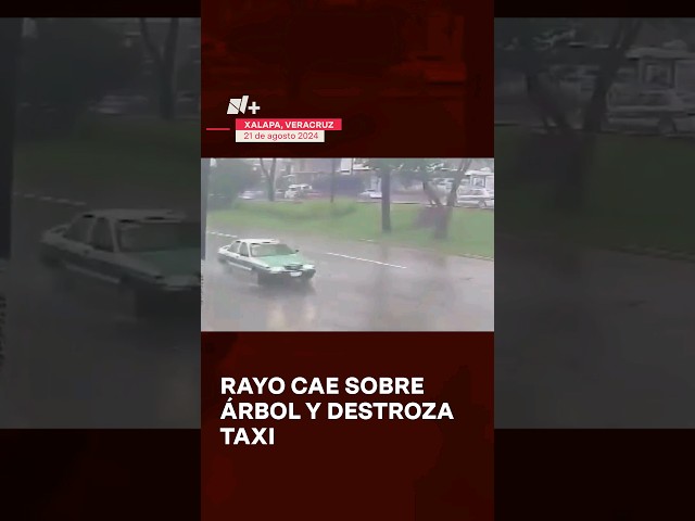 ⁣Rayo cae sobre árbol, ramas destrozan taxi en movimiento - N+ #Shorts