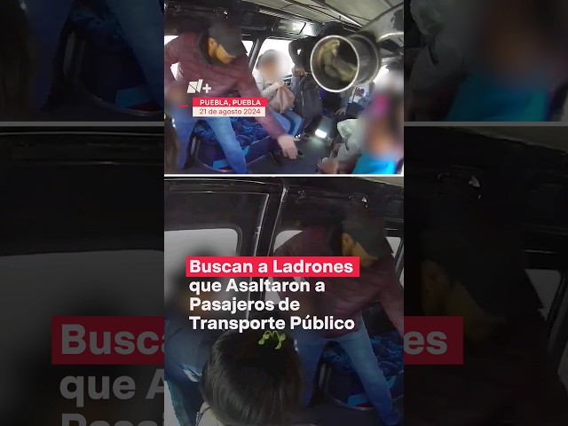 ⁣Asaltan transporte público en Puebla - N+ #Shorts