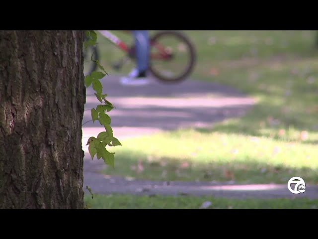 ⁣Man wearing only underwear asks child at Taylor park to expose himself