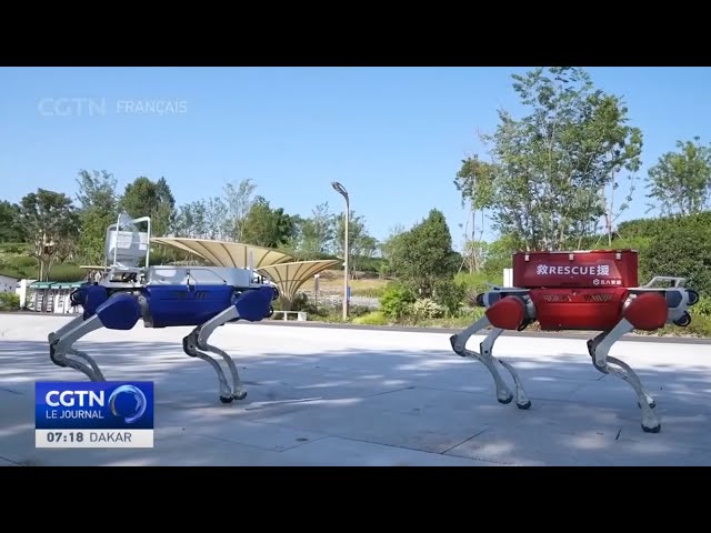 ⁣De nombreux robots présentés à l'exposition de Chengdu