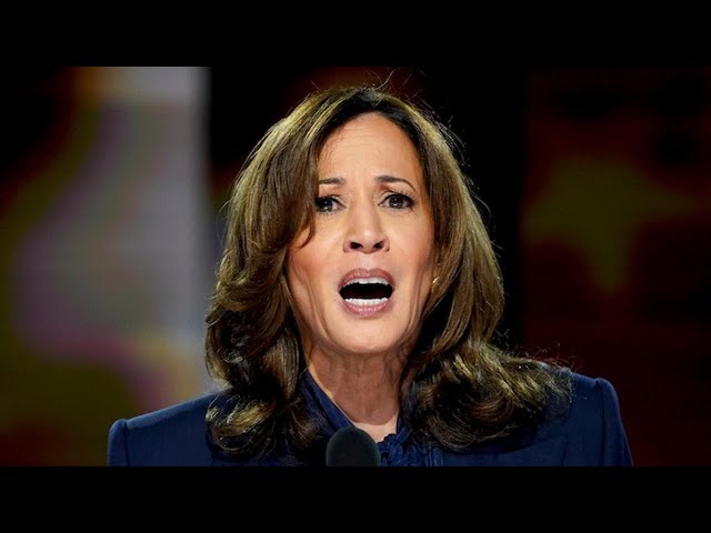 ⁣Kamala Harris DNC speech addressed the Israel-Hamas war. What to know.