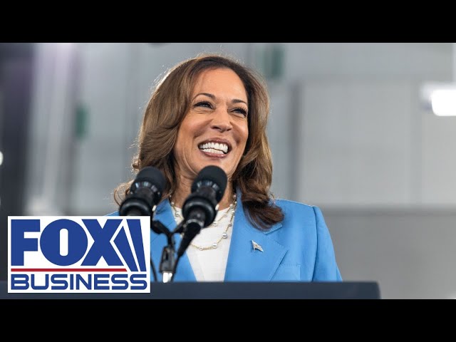 ⁣Donors ‘opened the floodgates’ for Kamala after Biden's exit: Trump donor