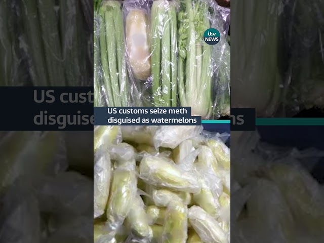 ⁣US customs have noticed smugglers trying to use produce to get drugs across the border #itvnews